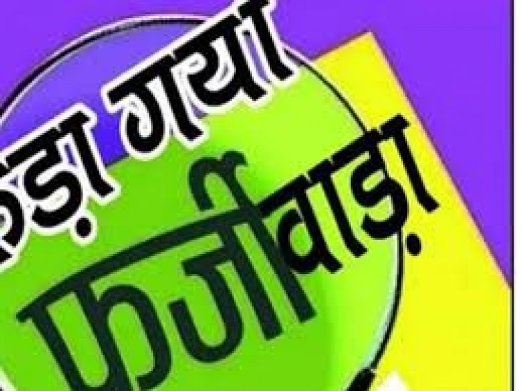 राजधानी के मास्टर प्लान का फर्जीवाड़ा फूटने के पांच महीने बाद अब जांच के बिंदु तय कर लिए गए