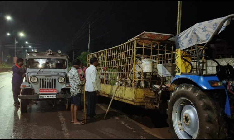रात में भी आवारा पशुओं को पकड़ने सड़क पर उतरी दुर्ग नगर निगम, देर रात तक शहर के आवारा मवेशियों को धर पकड़ करते रहे निगम का दस्ता