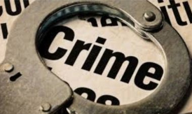 रायपुर में  मवेशी के साथ दुष्कर्म का मामला: आरोपी आशीष मिश्रा गिरफ्तार