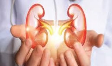 सरकारी सुपर स्पेशलिटी अस्पताल डीकेएस में अगले 3 माह में किडनी-लीवर ट्रांसप्लांट शुरू हो जाएंगे