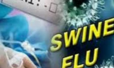 दुर्ग जिले में स्वाइन फ्लू से गुरुवार को एक और मौत दर्ज की गई, जिससे मरने वालों की संख्या अब 5 हो गई है