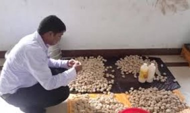 छत्तीसगढ़ के धमतरी में मोमोज खाने के बाद करीब 10 लोग बीमार पड़ गए