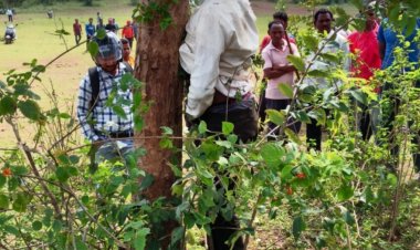 छत्तीसगढ़ के कबीरधाम जिले के रेंगाखार थाना अंतर्गत गांव में ग्रामीण की हत्या फिर जलाया घर, धमाके से दहला गांव , भारी संख्या में पुलिस  बल तैनात