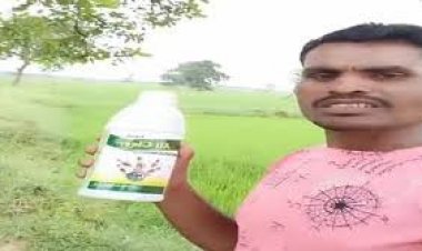 छत्तीसगढ़ के जांजगीर चांपा में एक युवक ने जहर पीकर सुसाइड कर लिया