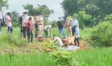 छत्तीसगढ़ के महासमुंद जिले में खेत में युवक की लाश मिली