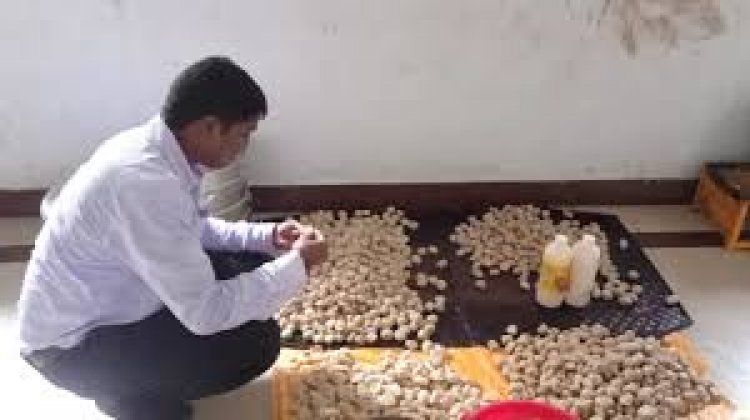 छत्तीसगढ़ के धमतरी में मोमोज खाने के बाद करीब 10 लोग बीमार पड़ गए
