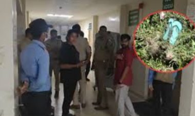 छत्तीसगढ़ के कोरबा जिले में स्कूल ड्रेस में खून से लथपथ बेहोशी की हालत में मिली छात्रा