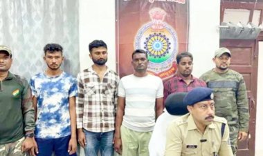 छत्तीसगढ़ के खैरागढ़ में 130 गायों के साथ अंतर्राज्यीय तस्कर गिरोह गिरफ्तार