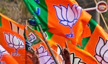 महाराष्ट्र चुनाव के लिए BJP ने जारी की स्टार प्रचारकों की सूची