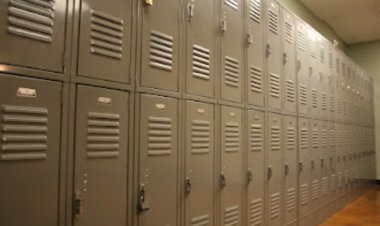 छत्तीसगढ़ में भिलाई के पंजाब नेशनल बैंक में लॉकर से सोना गायब,बैंक में सुरक्षा पर सवाल, शख्स ने पुलिस में की शिकायत