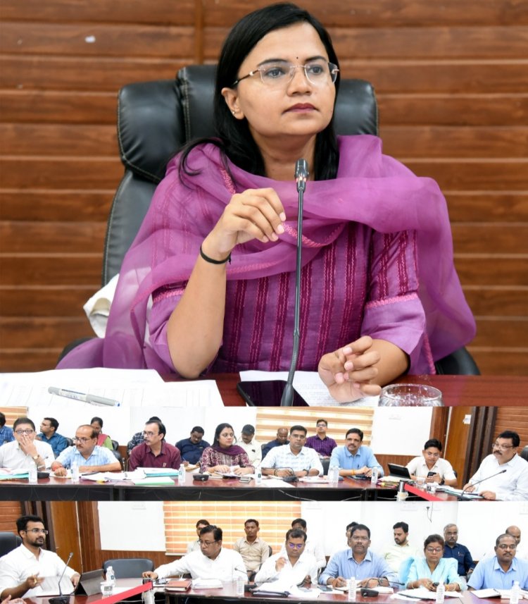 ग्राम पंचायतों के लिए नियुक्त नोडल अधिकारी आगामी दस दिवस में भ्रमण कर जानकारी अपलोड करें - कलेक्टर सुश्री चौधरी
