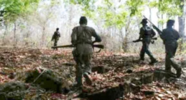 थुलथुली/नेंदूर मुठभेड़ के बाद अब तक 31 नक्सलियों के शव बरामद, सर्चिंग जारी