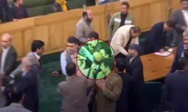 जम्मू-कश्मीर विधानसभा में जबरदस्त बवाल, धारा 370 को लेकर विधायकों के बीच हुई मारपीट