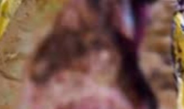 रायपुर के कलर्स मॉल के पास मिली लड़की की सड़ी-गली लाश