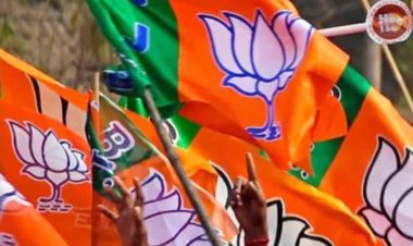 अगले तीन महीने में बदल जाएगा भाजपा का संगठनात्मक ढांचा, पार्टी नई टीम के साथ छत्‍तीसगढ़ निकाय चुनाव में झोंकेगी ताकत