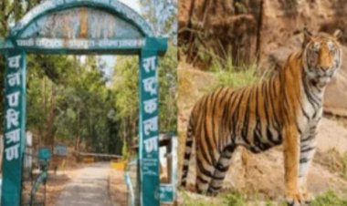 देश का 56वां टाइगर रिजर्व बना गुरु घासीदास-तमोर पिंगला उद्यान, नोटिफिकेशन जारी