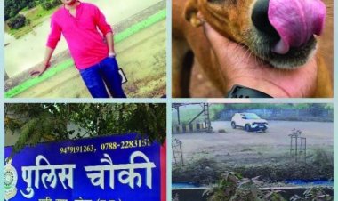 भिलाई में अमानवीयता की हद: बैंक मैनेजर ने स्ट्रीट डॉग को कार से कुचला, 500 मीटर तक घसीटा, इलाज के दौरान मौत, आरोपी गिरफ्तार