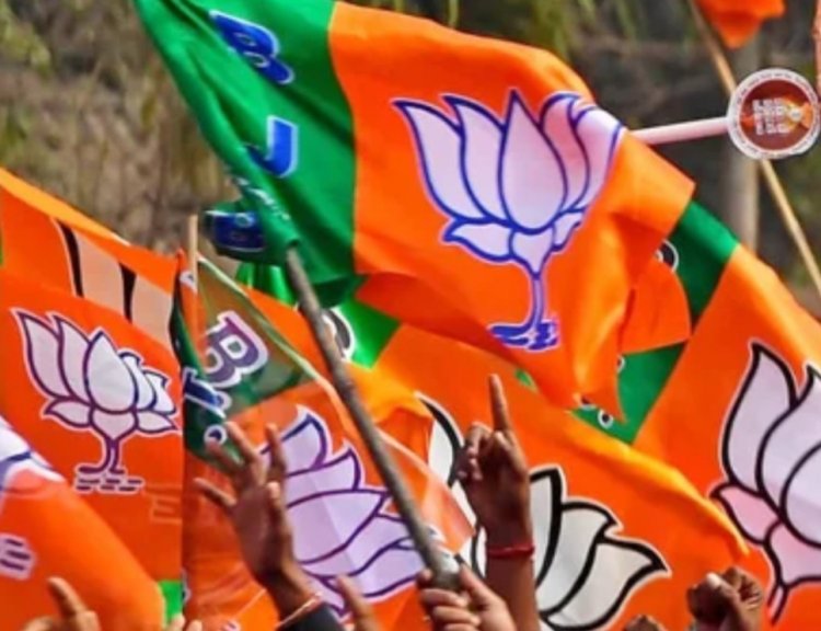 अगले तीन महीने में बदल जाएगा भाजपा का संगठनात्मक ढांचा, पार्टी नई टीम के साथ छत्तीसगढ़ निकाय चुनाव में झोंकेगी ताकत