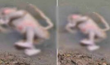 तालाब में मिला नवजात शिशु का शव, ग्रामीणों में आक्रोश, दोषियों को कड़ी सजा देने की मांग