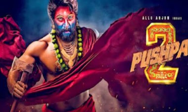 फिल्म ‘पुष्पा 2’ की स्क्रीनिंग के दौरान बड़ा हादसा,भीड़ के अचानक बेकाबू हो जाने से मची भगदड़ 1 की मौत 3 घायल