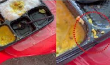 फॉरेस्ट गार्ड भर्ती में लापरवाही, ड्यूटी में तैनात जवान के खाने में निकला कीड़ा