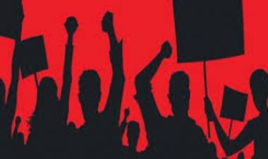 शासन से आवश्यक संसाधन की मांग करते हुए पटवारी कल से काली पट्टी लगाकर करेंगे काम