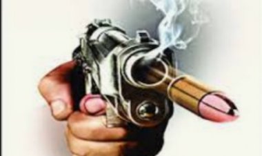 छत्तीसगढ़ के बिलासपुर में फ्लावर नहीं, फायर है मैं’, फायर पुष्पा फिल्म का डॉयलाग बोलते हुए नाबालिग ने किया फायर, दादी और युवक हुए घायल