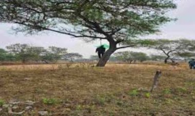 पुलिस आरक्षक की पेड़ पर फांसी के फंदे से लटकी मिली लाश