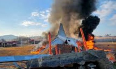 साउथ कोरिया में प्लेन क्रैश, 124 की मौत