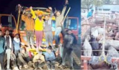 गौ रक्षकों ने गौ वंशों से लदे ट्रक को पकड़ा, तीन गिरफ्तार
