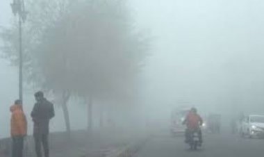 प्रदेश में तापमान बढ़ने से ठंड का असर होगा कम, उत्तरी क्षेत्रों में कोहरे छाए रहने की संभावना