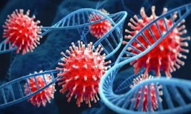 छत्तीसगढ़ में पहुंचा HMPV वायरस,कोरबा में तीन साल के बच्चे की रिपोर्ट पॉजिटिव