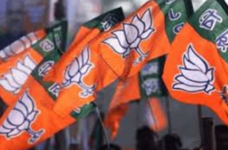 छत्तीसगढ़ में मंत्रिमंडल विस्तार के संकेत, भाजपा प्रदेश अध्यक्ष भी बदले जा सकते हैं