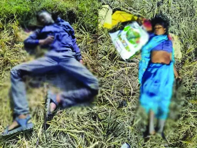 छत्तीसगढ़ के सूरजपुर में जमीन विवाद को लेकर पत्रकार के मां, पिता और भाई की हत्या