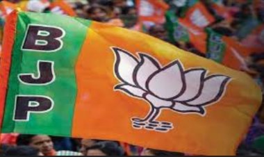 दुर्ग जिले में भाजपा के निष्कासितों की दूसरी सूची में 7 बागी ,पार्टी के विरुद्ध चुनाव प्रचार करने वाले 11 लोगों को किया निलंबित