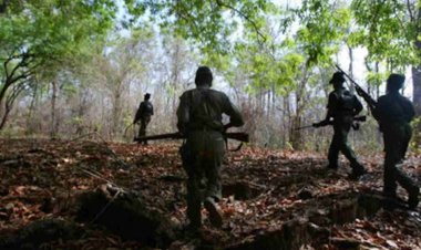 सुरक्षा बलों ने 12 नक्सलियों को किया ढेर, बीजापुर-नारायणपुर सीमा पर हो रही मुठभेड़…