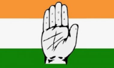 दुर्ग नगर निगम वार्ड 41, केलाबाड़ी से कांग्रेस प्रत्याशी रुबीना हामिद खोखर ने 2387 मत प्राप्त कर चुनाव में जीत दर्ज की