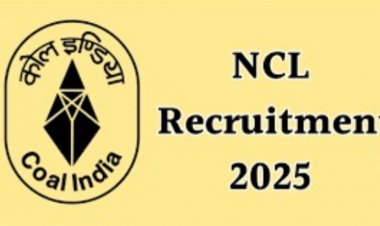 युवाओं के लिए शानदार मौका, NCL ने निकाली 1765 पदों पर भर्ती, 24 फरवरी से आवेदन शुरू, जानें पात्रता और वेतन