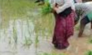 पति DSP, फिर भी खेती को क्यों बनाई पहचान, कौन हैं लाखों कमाने वाली अदिति कश्यप ?