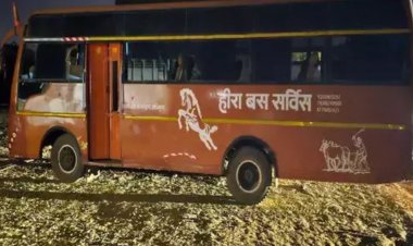 फर्जी नंबर प्लेट लगी बस जब्त, कारोबारी के खिलाफ धोखाधड़ी का मामला दर्ज