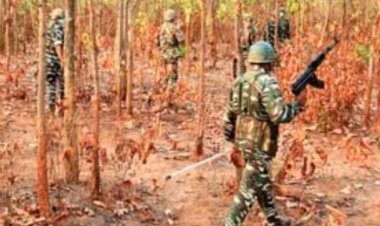 छत्तीसगढ़ में सुरक्षाबलों की बड़ी कार्रवाई, 22 नक्सली ढेर