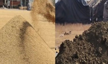 चार केंद्रों में 20 लाख टन धान डंप : कोड़िया में नीलामी से पहले मिलाई जा रही थी मिट्टी
