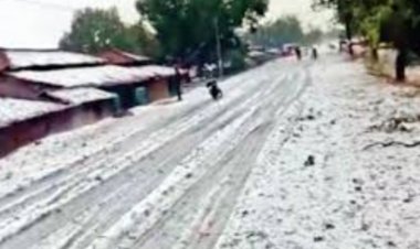 छत्तीसगढ़ में ओलावृष्टि! सरगुजा-बलरामपुर में गिरे ओले, सड़क से खेतों तक बिछी बर्फ की मोटी चादर