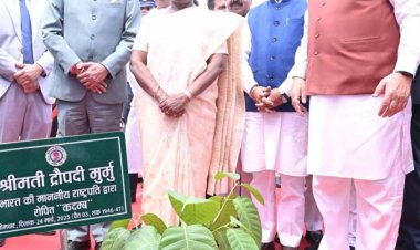 छत्तीसगढ़ विधानसभा के रजत जयंती समारोह के अवसर पर राष्ट्रपति द्रौपदी मुर्मु ने विधानसभा परिसर में कदम्ब का पौधरोपण किया