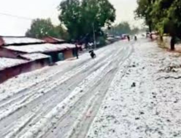 छत्तीसगढ़ में ओलावृष्टि! सरगुजा-बलरामपुर में गिरे ओले, सड़क से खेतों तक बिछी बर्फ की मोटी चादर
