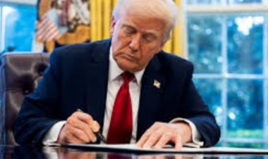 ट्रंप के टैरिफ से भारत पर क्या पड़ेगा असर, किन सेक्टर्स को लगेंगे झटके