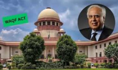 सुप्रीम कोर्ट के इतने बड़े वकील साहब को CJI ने सिखाया सिस्टम, वक्फ कानून को लेकर कर रहे थे जल्दबाजी