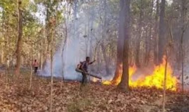छत्तीसगढ़ के इन जिलों के जंगलों में लगी भीषण आग, धू-धू कर जल रहे जंगल