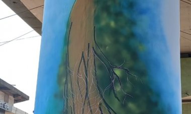 सुनहरे पेटिंग से सजाये जा रहे है, निगम भिलाई के चौंक-चौराहे