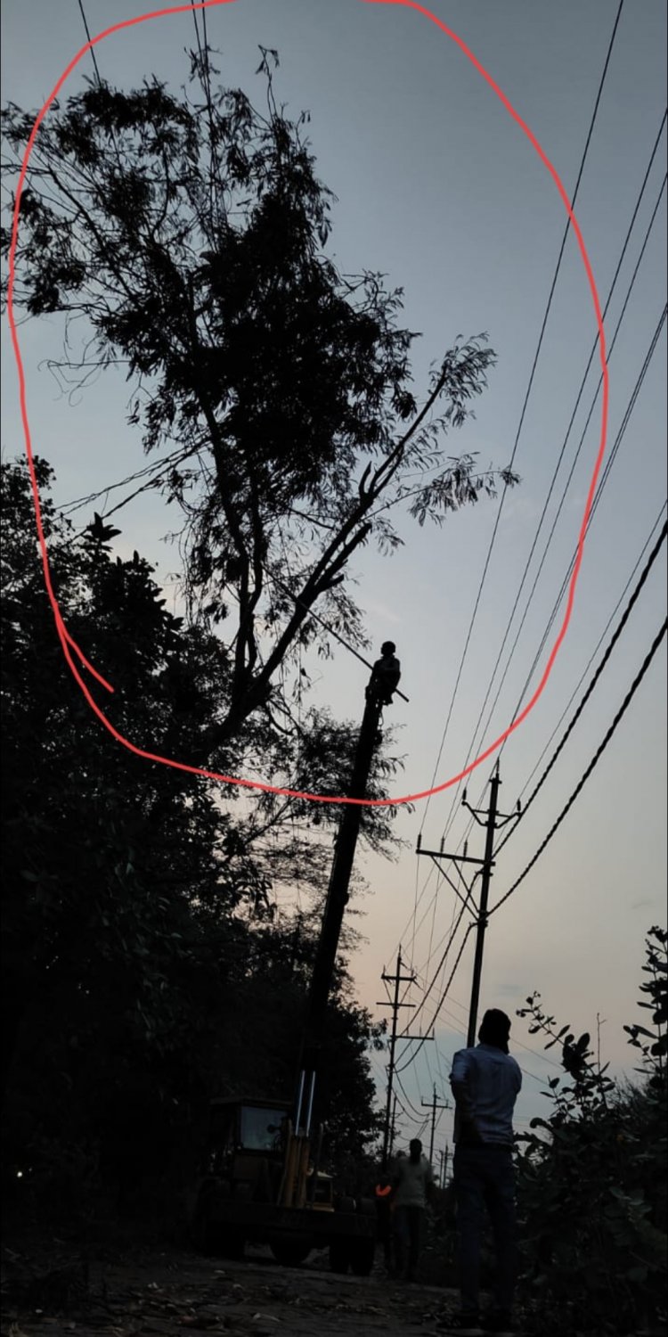 अचानक आए तूफान से 33Kv लाईन पर बड़ा पेड़ गिरा,फिल्टर प्लांट में विद्युत सप्लाई ठप्प होने से कई वार्ड में शाम की पाली की पानी सप्लाई नहीं हो पाया